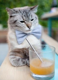 冰与火的交响，张本智和的呐喊如何熔断瑞典防线