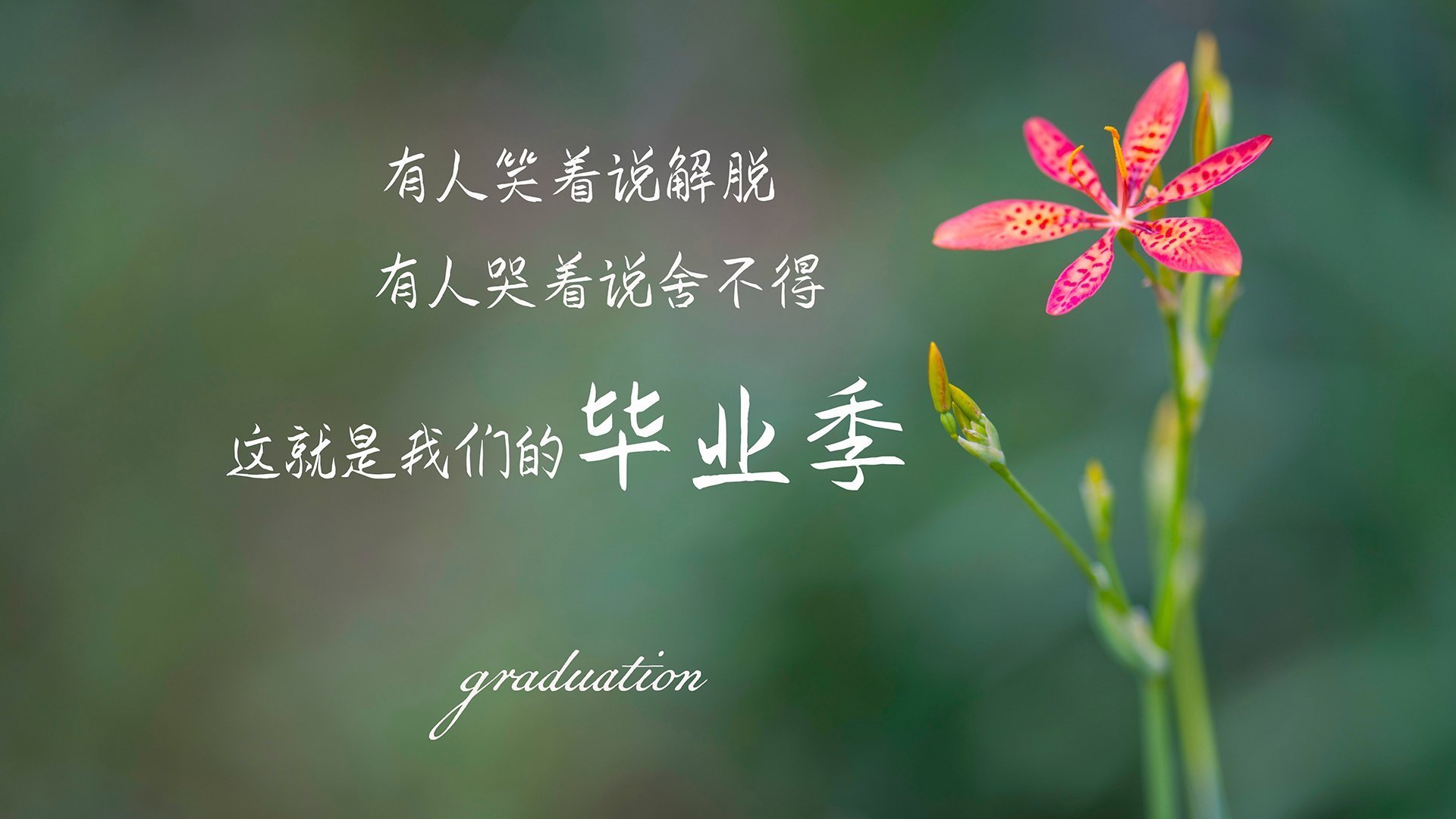 幽灵双城记，当国家德比的光照进洪都拉斯的雨夜