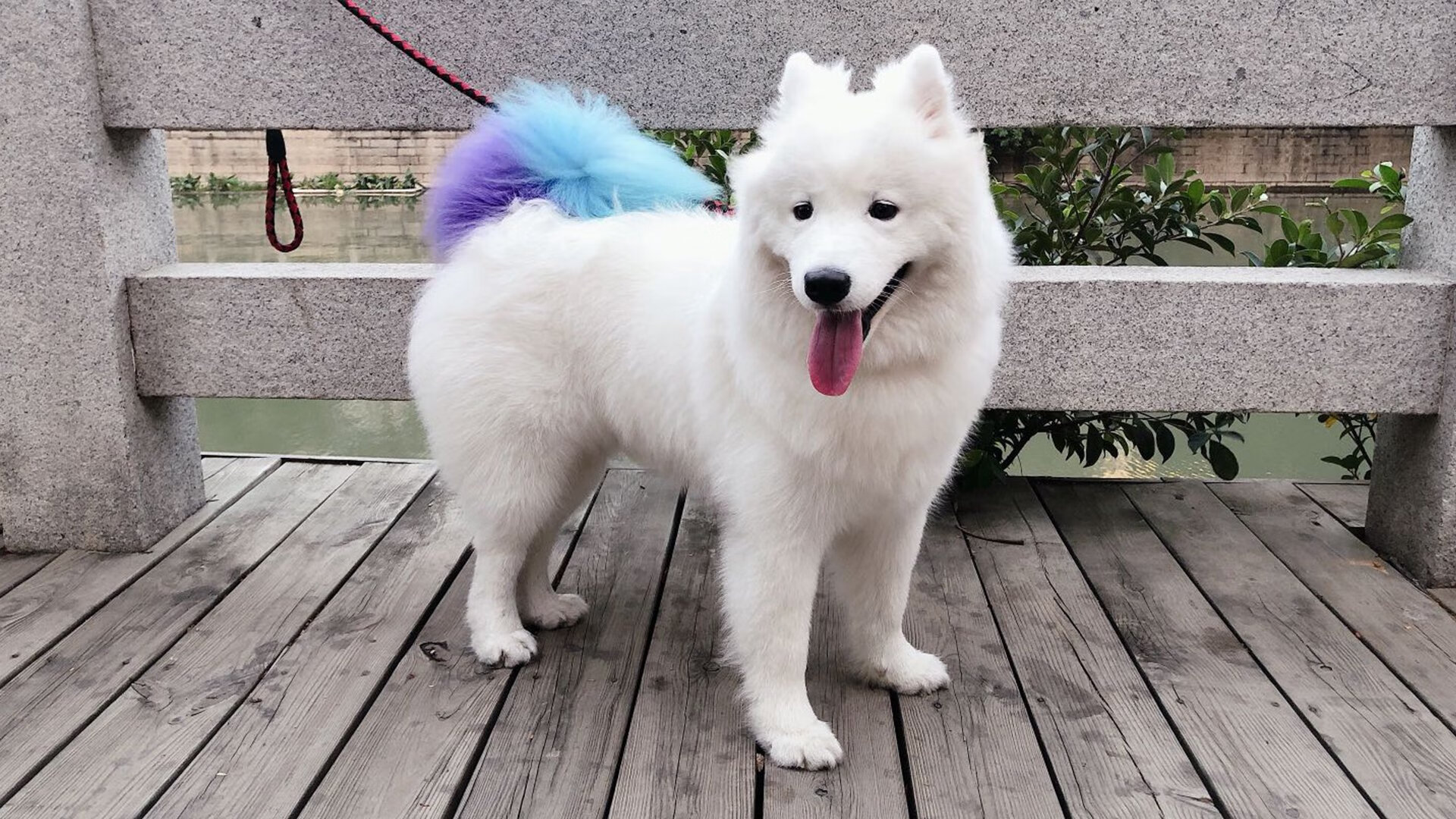 黄潜艇沉没墨西哥城,奥纳纳一夫当关