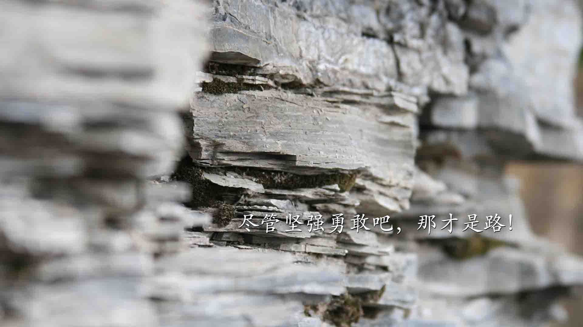 爱游戏官方-绿茵与硬木的交响，国家德比的硝烟与太阳队的加时曙光