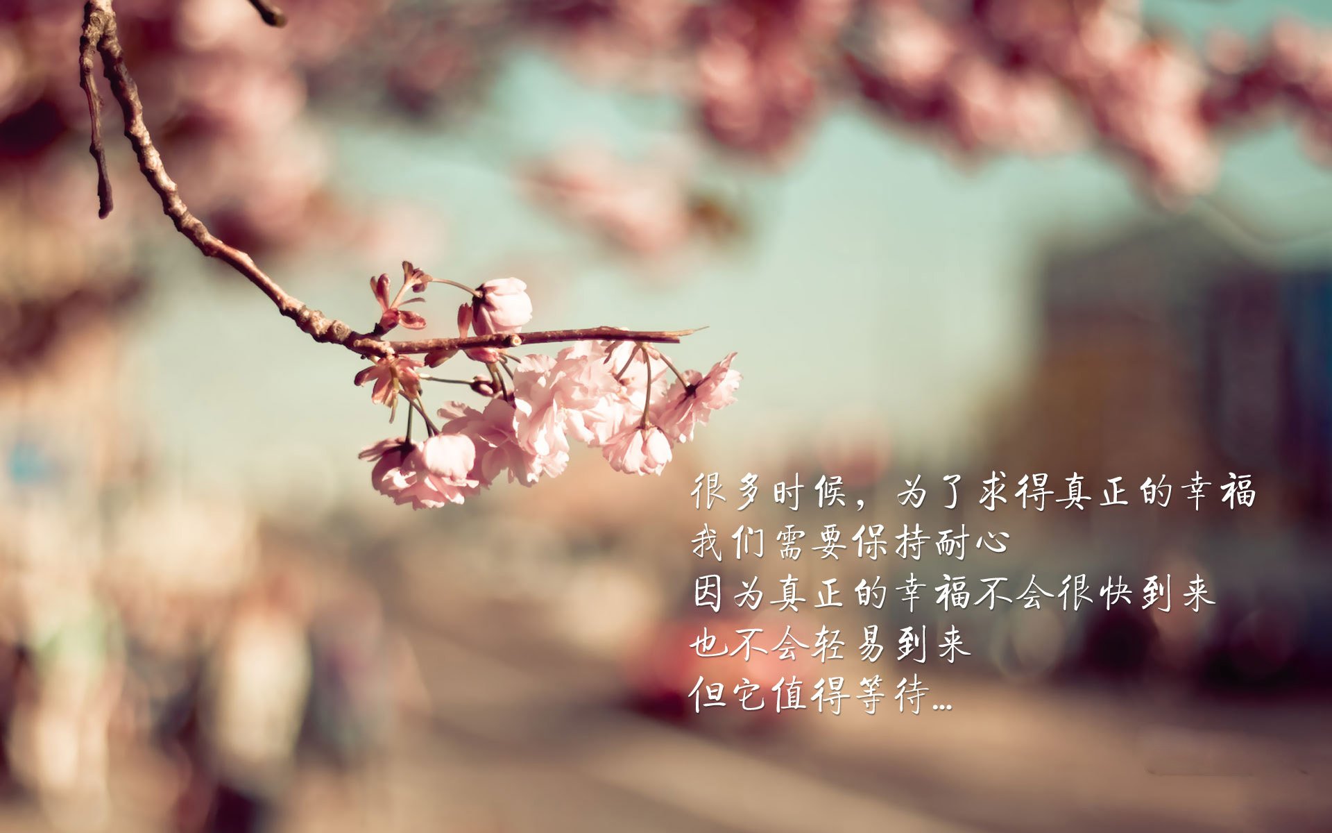 数据风暴眼,巴尔韦德用三重交响乐定义意甲焦点夜