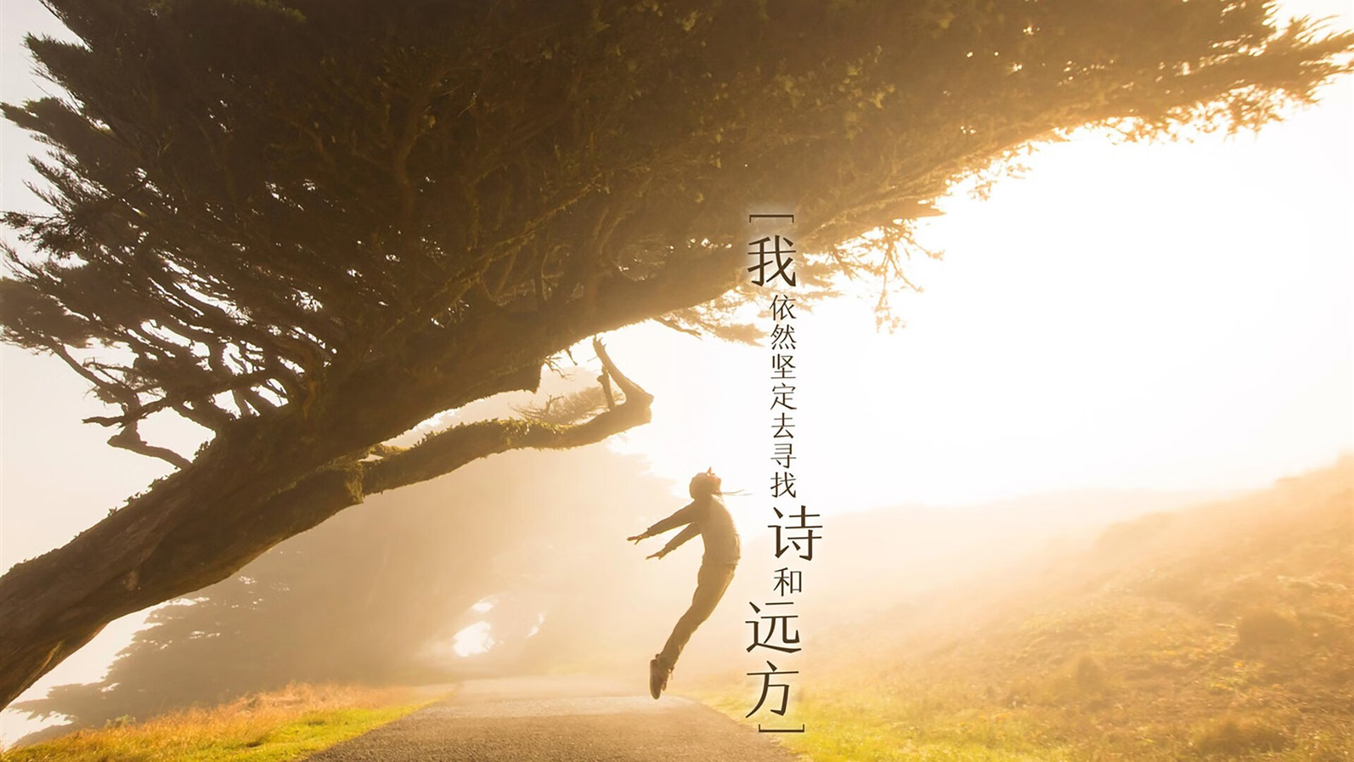 爱游戏-纽约风暴吞噬金州，一场改写联盟格局的排位绞杀战