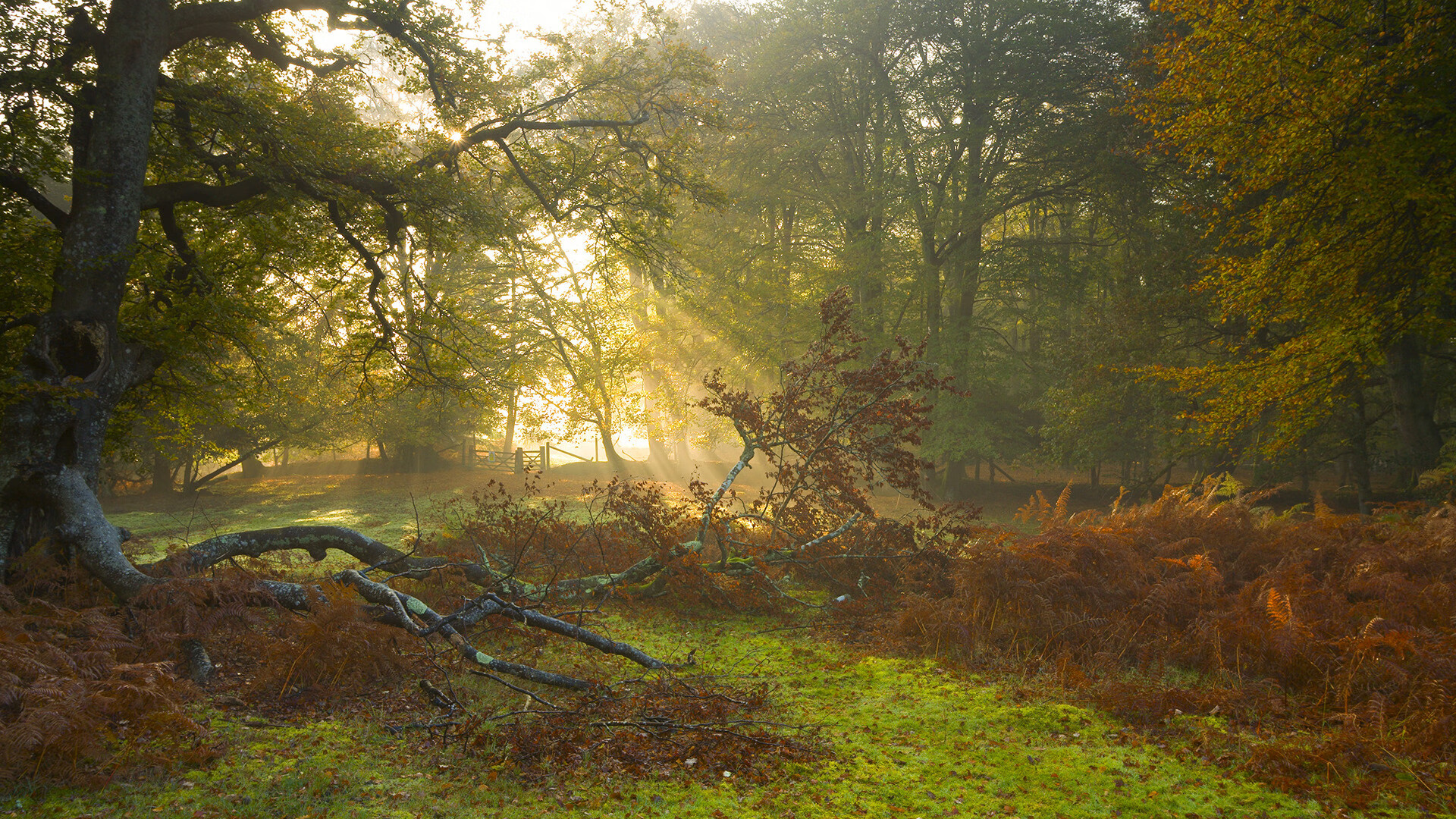 爱游戏体育-卡拉斯科爆发，一个人的战争，映照一支球队的蜕变