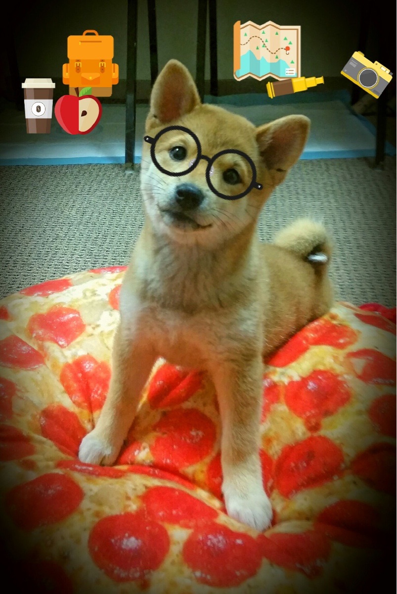 阿拉巴爆发！土耳其用沙漠风暴奇袭战术制霸克罗地亚