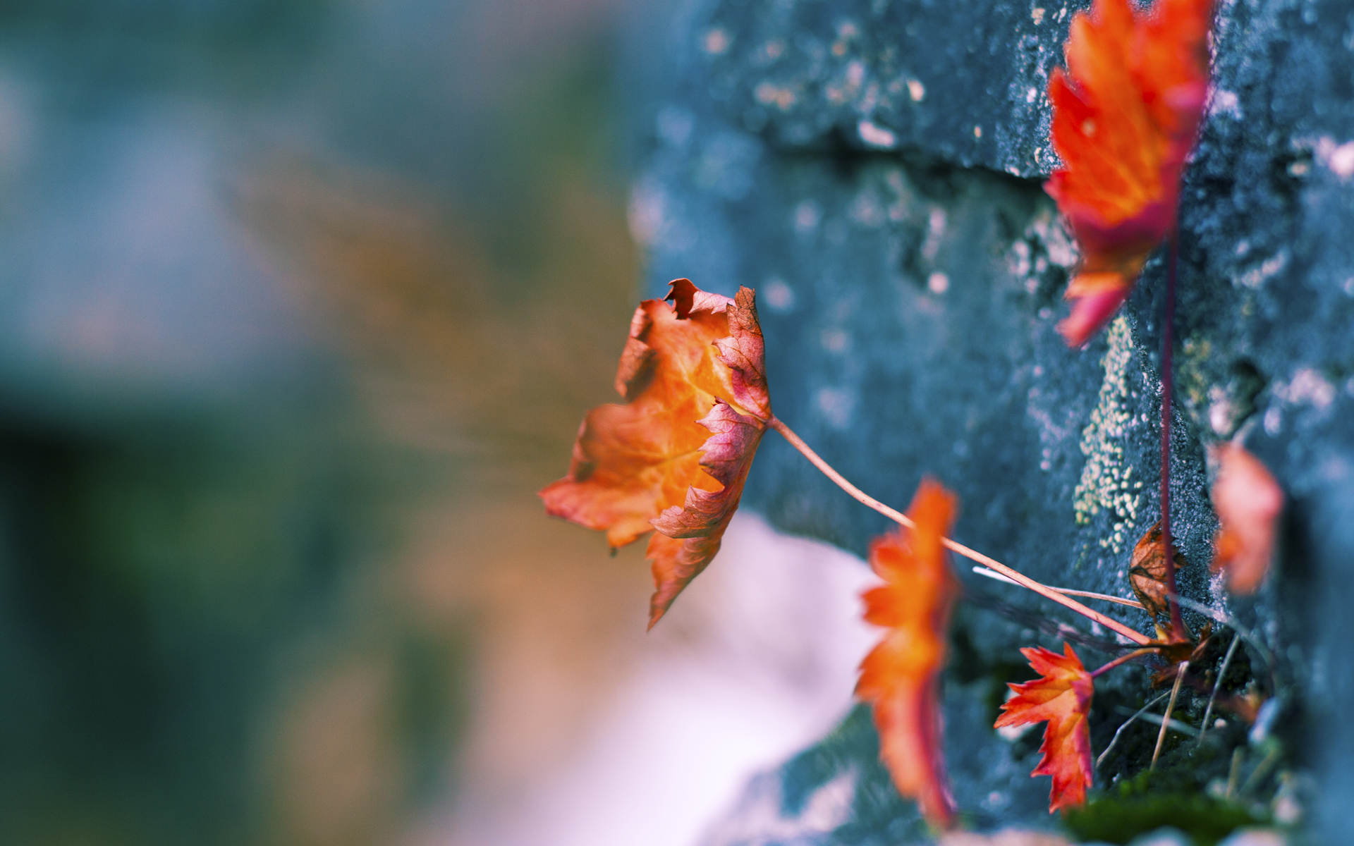 冰与火之歌，欧文用关键先生魔法破解吉林队的铁血防守