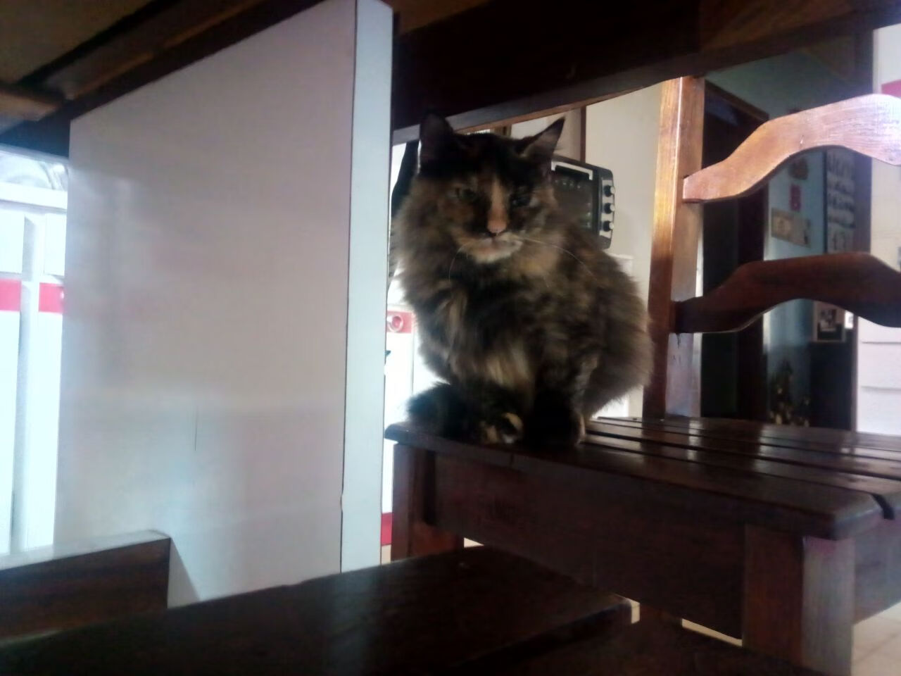 2米24的胜负手,F1年度争冠之夜的深夜无线电