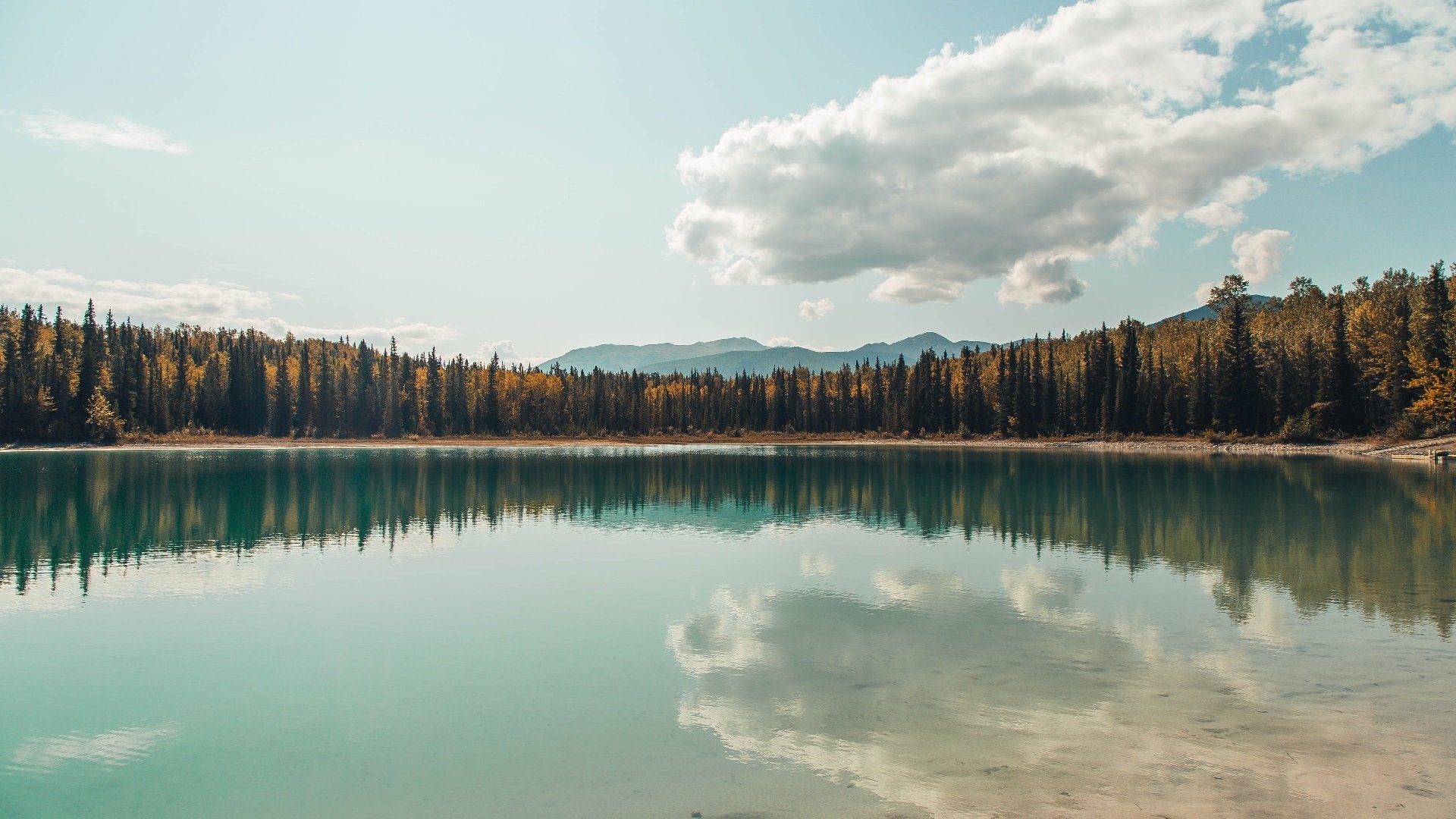 爱游戏tv-南腔北调，从德甲争冠的窒息战到摩洛哥轻取爱尔兰的节奏诗篇